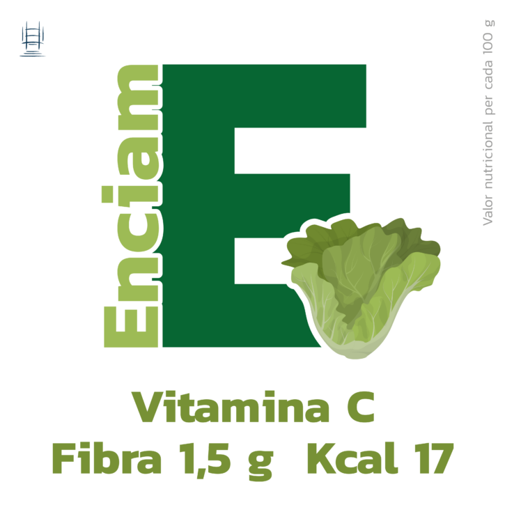 Verdures CTE_Mesa de trabajo 1-09