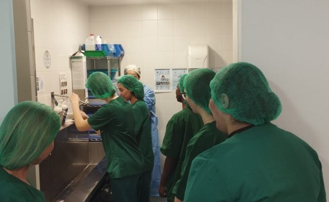 WhatsApp Image 2025-03-24 at 08.07.28 (2)