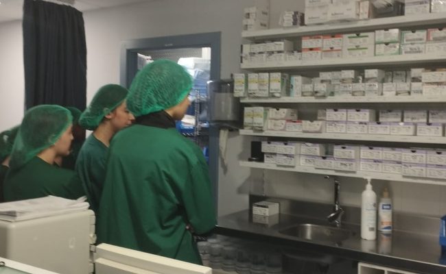 WhatsApp Image 2025-03-24 at 08.07.29 (3)