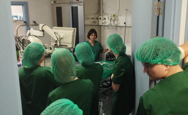 WhatsApp Image 2025-03-24 at 08.07.29 (4)